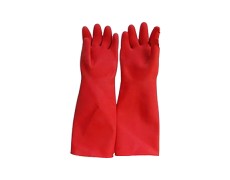 CN-Găng tay chế biến thông dụng Màu đỏ (Paloma) 